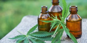 Kann durch CBD die Wirkung von Antibiotika verstärkt werden? (Bild: yavdat/Stock.Adobe.com)