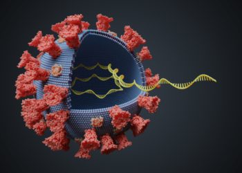 Eine schematische Darstellung eines Virus.