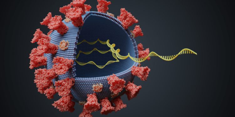 Eine schematische Darstellung eines Virus.