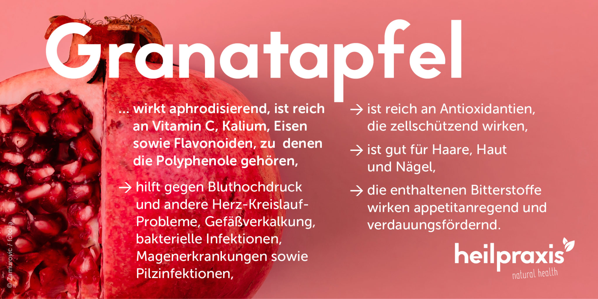 Granatapfel (Punica granatum) Wirkung und Rezepte Heilpraxis