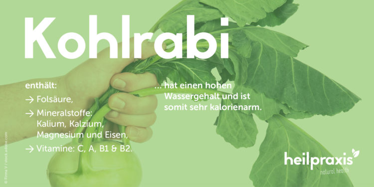 Kohlrabi Übersichtsgrafik mit einer Auflistung der Inhaltsstoffe und Wirkungen.