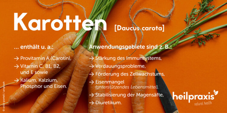 Übersichtsgrafik zu Inhaltsstoffen und Anwendungsgebieten von Karotten