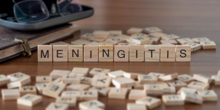 Das Wort Meningitis aus Holzbuchstaben zusammengesetzt