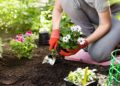 Wie wirkt sich Gartenarbeit auf unser Wohlbefinden und unser Körperbild aus? (Bild: Maksim Kostenko/Stock.Adobe.com)