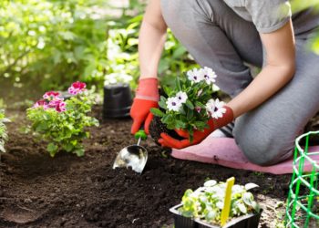 Wie wirkt sich Gartenarbeit auf unser Wohlbefinden und unser Körperbild aus? (Bild: Maksim Kostenko/Stock.Adobe.com)