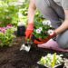Wie wirkt sich Gartenarbeit auf unser Wohlbefinden und unser Körperbild aus? (Bild: Maksim Kostenko/Stock.Adobe.com)