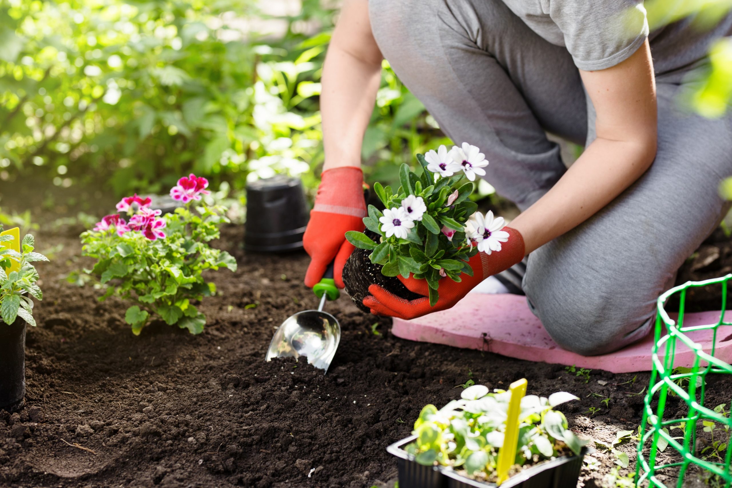 Gartenarbeit verbessert das körperliche Selbstbild Heilpraxis
