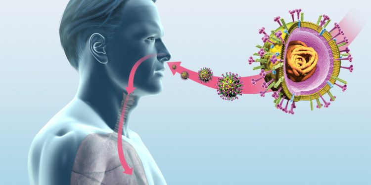 3D-Illustration von Grippeviren, die über die Nase in den Atmungstrakt eines Mannes gelangen.