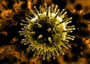 3D-Illustration eines Influenza-Erregers.