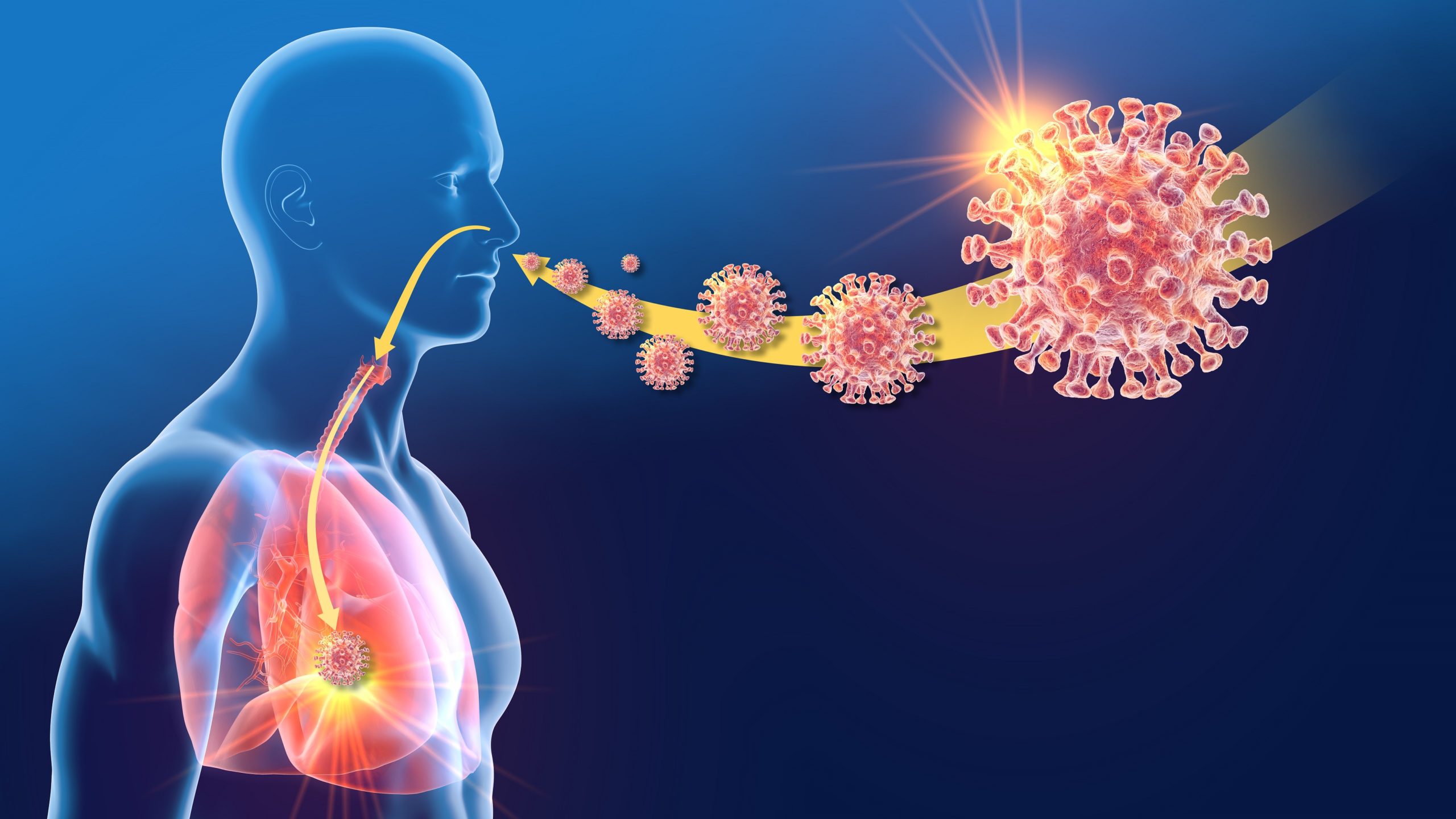 Coronavirus: Lungengesundheit mit COVID-19-Sterberisiko verbunden – Heilpraxis
