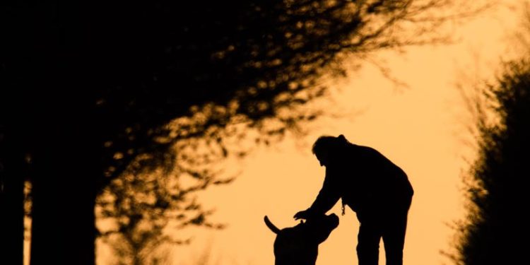 Eine Person geht mit Hund in der Dämmerung spazieren.