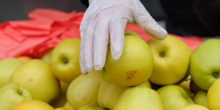 Eine Hand mit einem Einmalhandschuh greift nach einem Apfel.