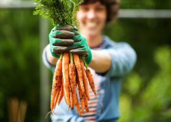 Frau mit Gartenhandschuhen hält lächelnd ein Bund Möhren in die Kamera