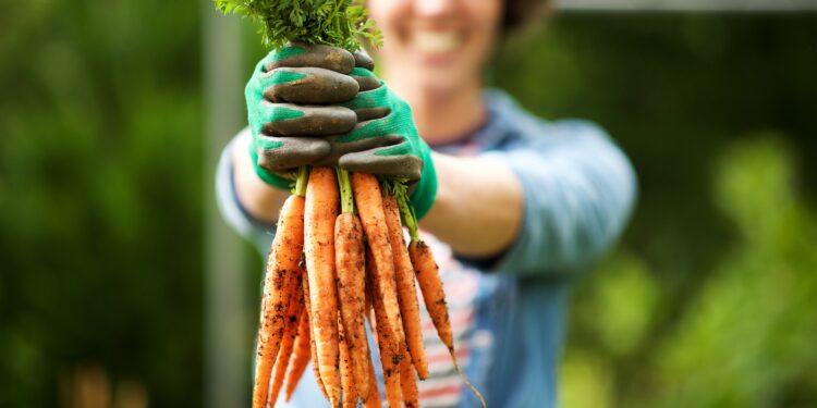 Frau mit Gartenhandschuhen hält lächelnd ein Bund Möhren in die Kamera