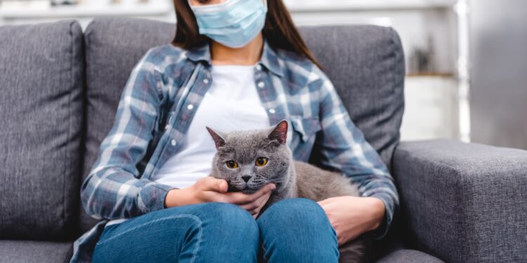 Eine Frau mit Atemschutzmaske hat eine Katze auf dem Schoß.