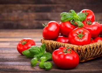 Frische Tomaten und Basilikum in einem Korb auf einem Holztisch