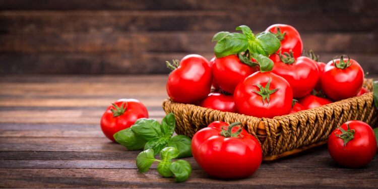 Frische Tomaten und Basilikum in einem Korb auf einem Holztisch