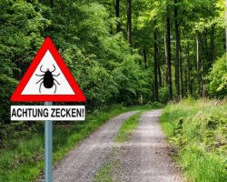 Zeckenwarnschild an einem Waldweg