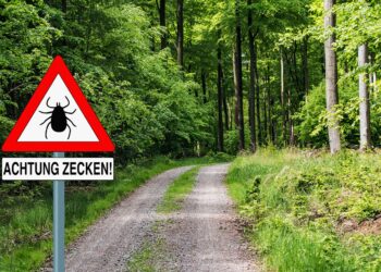 Zeckenwarnschild an einem Waldweg