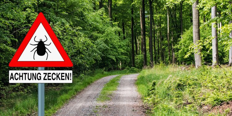 Zeckenwarnschild an einem Waldweg