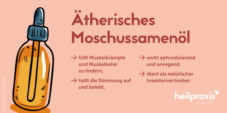 Übersicht der Wirkungen von ätherischem Moschussamenöl