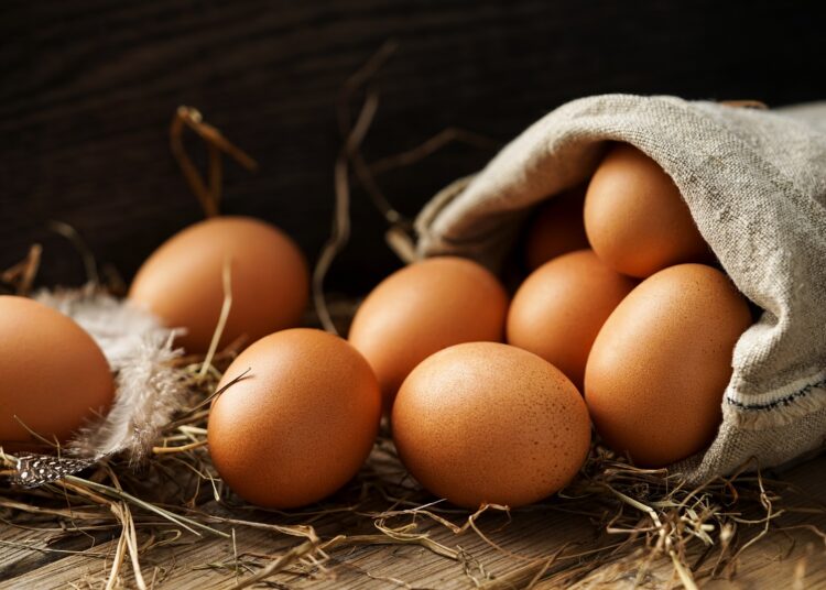 Mehrere braune Eier in Großaufnahme.