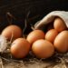 Eine Beschichtung aus Eiern hilft Nahrungsmittel länger frisch zu halten. (Bild: jd-photodesign/Stock.Adobe.com)
