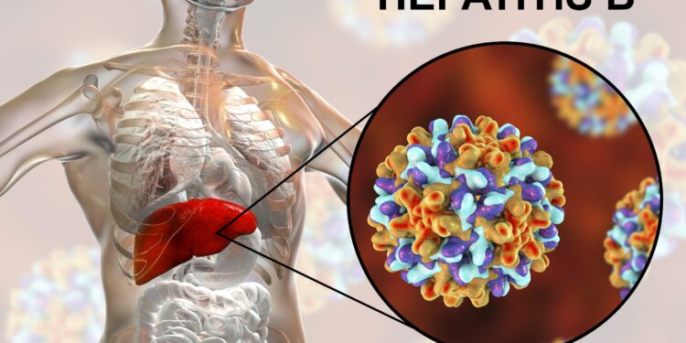 Eine grafische Darstellung von Hepatitis-B-Viren.