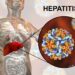 Eine grafische Darstellung von Hepatitis-B-Viren.