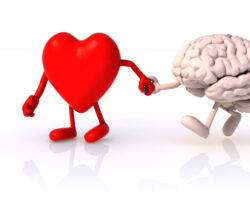 Eine grafische Darstellung eines Herzens und eines Gehirns, die Hand in Hand spazieren gehen.
