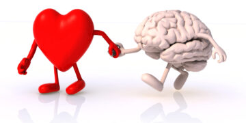 Eine grafische Darstellung eines Herzens und eines Gehirns, die Hand in Hand spazieren gehen.