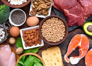 Eine Auswahl an proteinreichen Lebensmitteln.