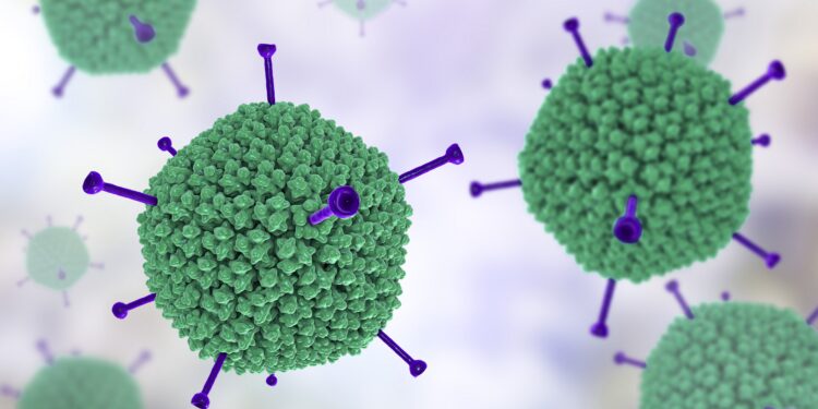 Illustrazione 3D di un modello molecolare di adenovirus