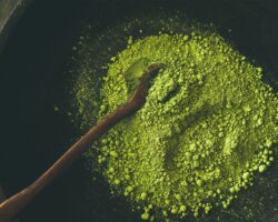 Matcha in Großaufnahme