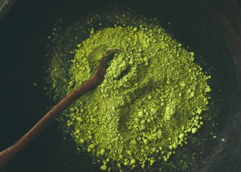 Matcha in Großaufnahme