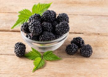 Brombeeren und Blätter in einer Glasschüssel auf einem Holztisch