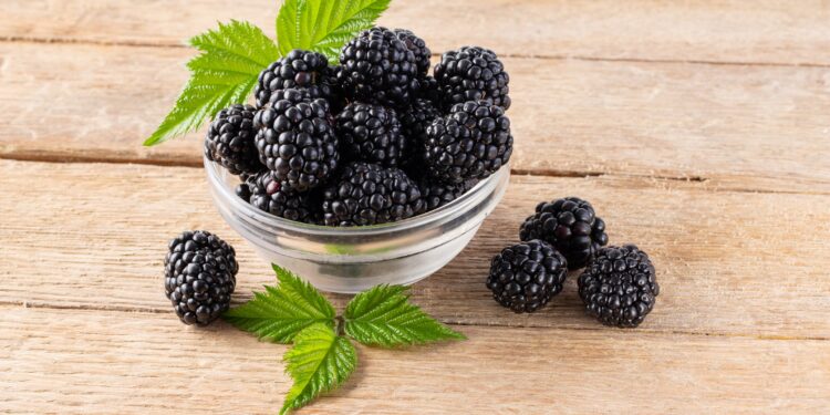 Brombeeren und Blätter in einer Glasschüssel auf einem Holztisch