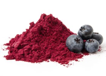 Pulver aus den Abfallprodukten von Heidelbeeren können helfen die Darmmikrobiota zu verbessern. (Bild: womue/stock.Adobe.com)