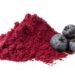 Pulver aus den Abfallprodukten von Heidelbeeren können helfen die Darmmikrobiota zu verbessern. (Bild: womue/stock.Adobe.com)