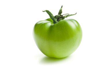 Großaufnahme einzelne gruene Tomate