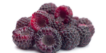 Schwarze Himbeeren scheinen Hautentzündungen zu verringern. (Bild: Leonid Nyshko/Stock.Adobe.com)