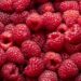 Geerntete Himbeeren