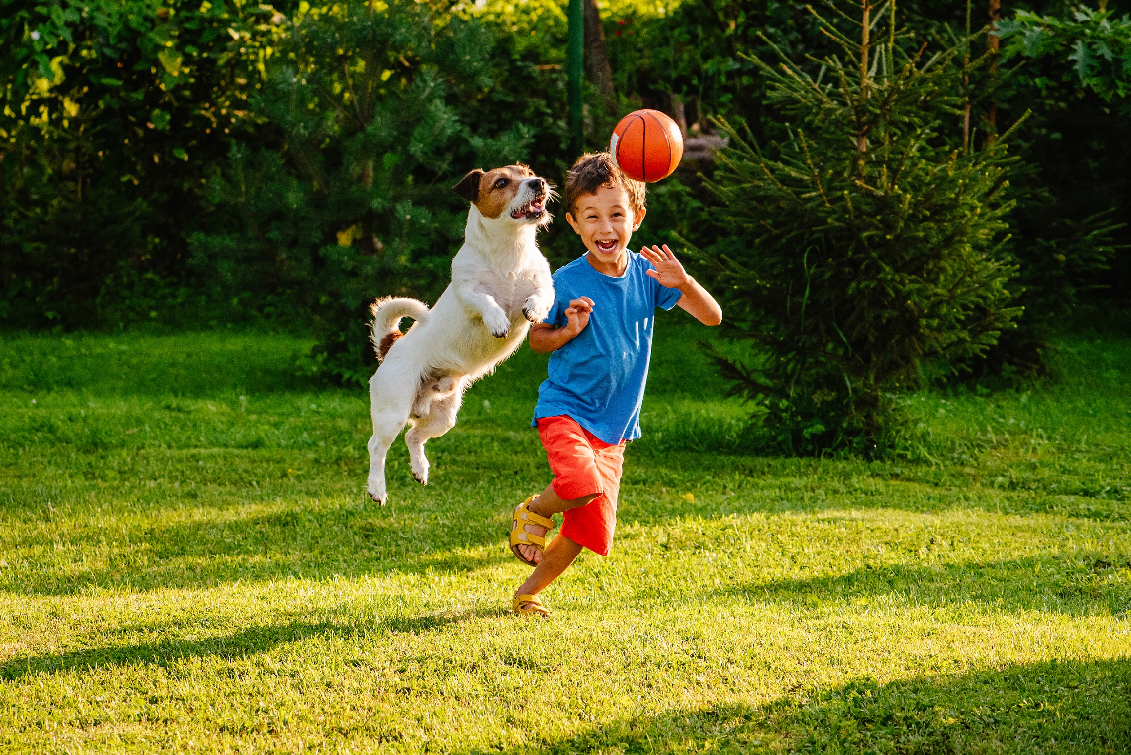 Hunde stärken die emotionale Entwicklung von Kindern Heilpraxis