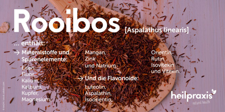 Mineralstoffe und Flavonoide im Rooibos