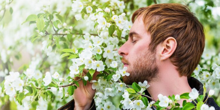 Mann riecht an weißen Blüten