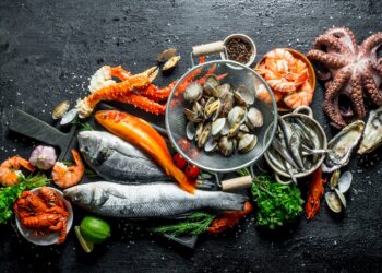Eine Auswahl an Fischen und Meeresfrüchten vor einem dunklen Hintergrund.