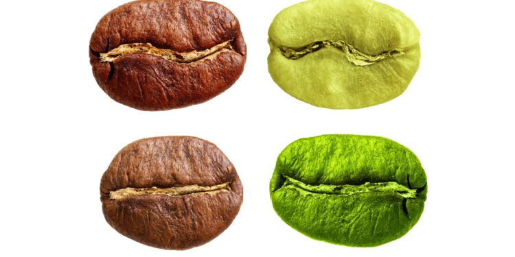 Kaffeebohnen in unterschiedlichen Röst-Graden.