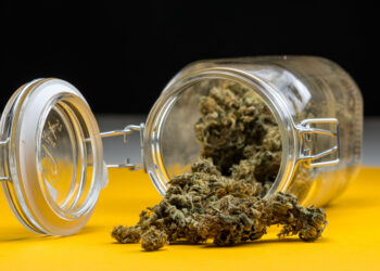 Wie wirkt sich der Konsum von Cannabis auf erlebte Schmerzen aus? (Bild: UrbanExplorer/Stock.Adobe.com)