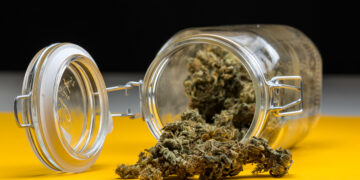 Wie wirkt sich der Konsum von Cannabis auf erlebte Schmerzen aus? (Bild: UrbanExplorer/Stock.Adobe.com)