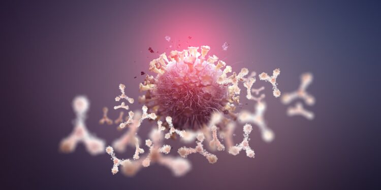 Eine grafische Darstellung von Antikörpern, die ein Coronavirus angreifen.